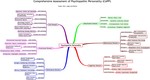 Comprehensive Assessment of Psychopathic Personality (CAPP)